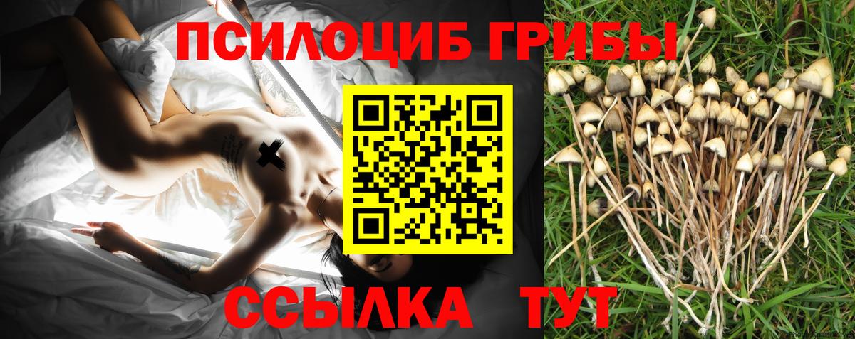 Псилоцибиновые грибы MAGIC MUSHROOMS Орск