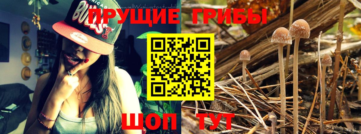 Орск  Галлюциногенные грибы ЛСД  Вход с VPN 